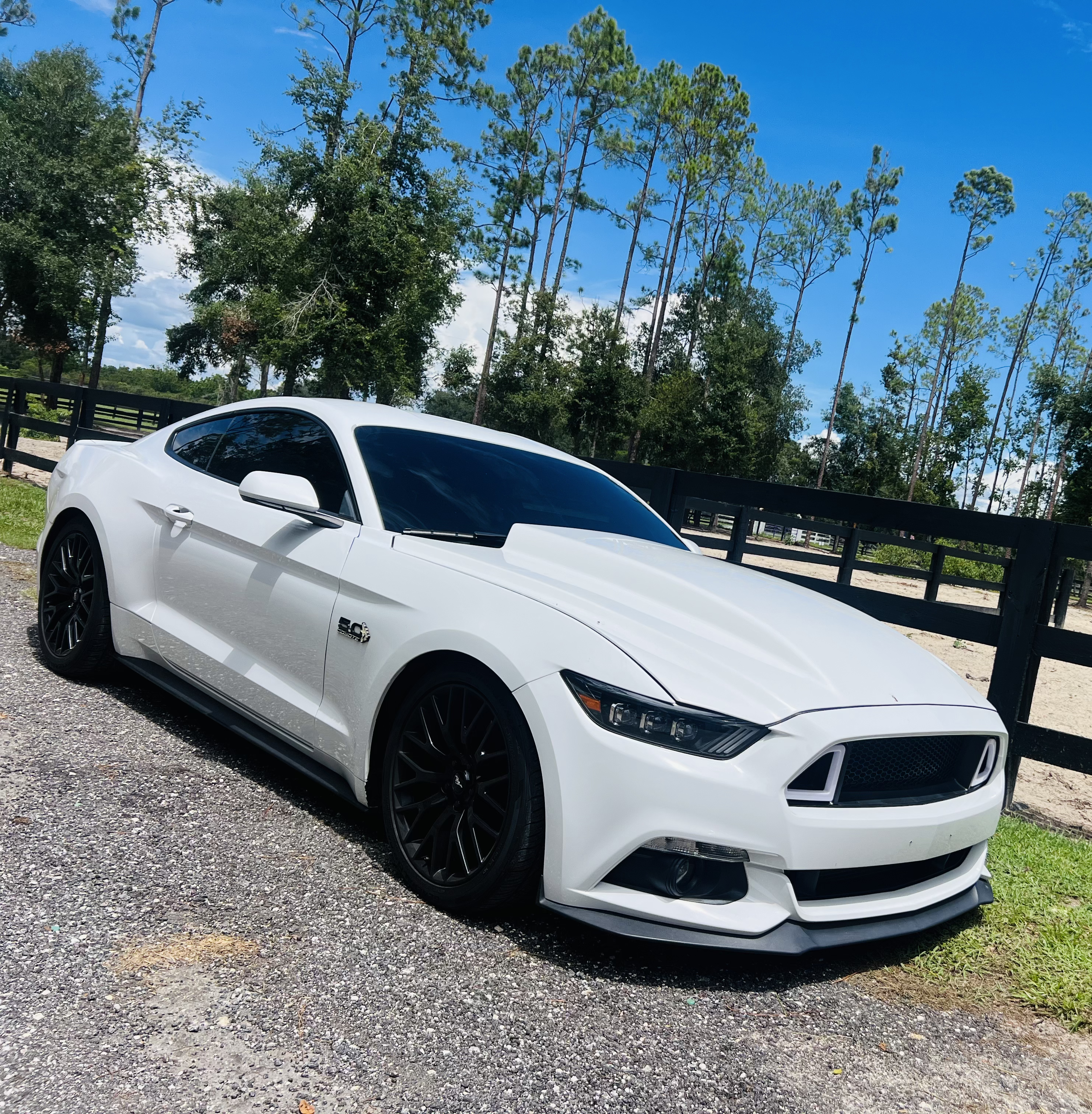 Used 2016 Ford Mustang GT w/ GT Performance Package RWD image 1