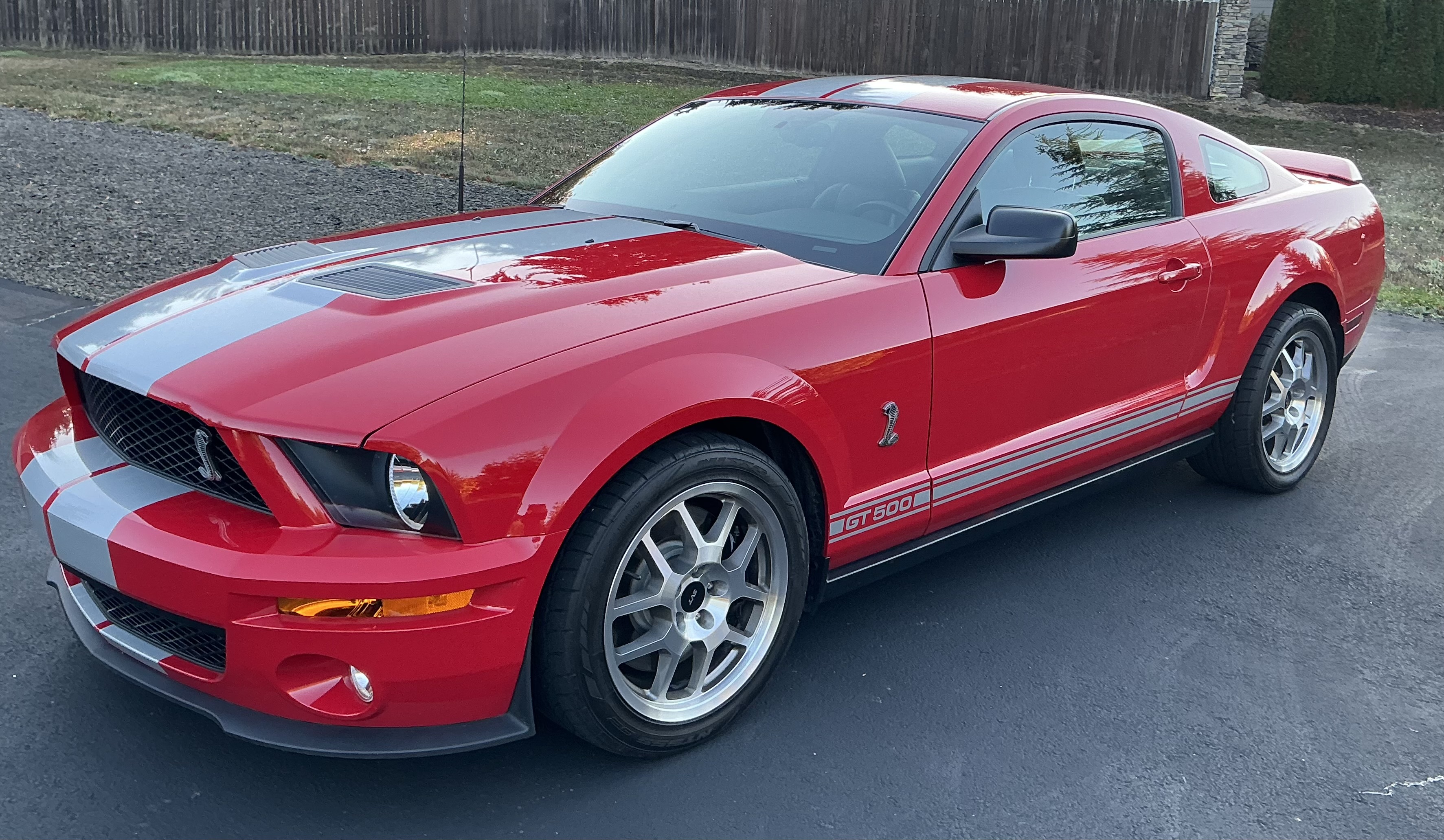 Used 2007 Ford Mustang Shelby GT500 RWD image 1