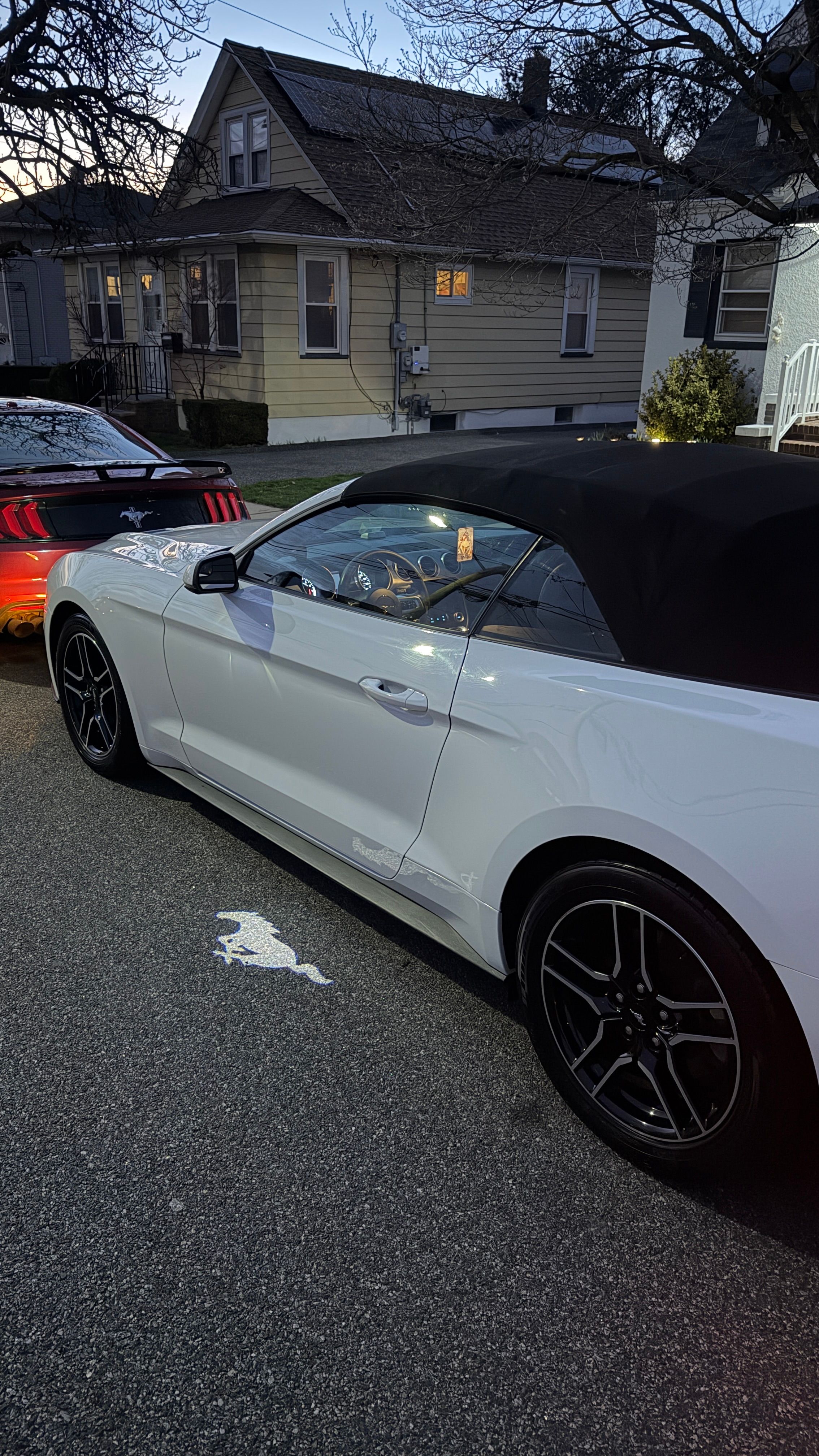 Used 2019 Ford Mustang Premium RWD image 10
