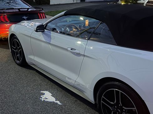 Used 2019 Ford Mustang Premium image 10