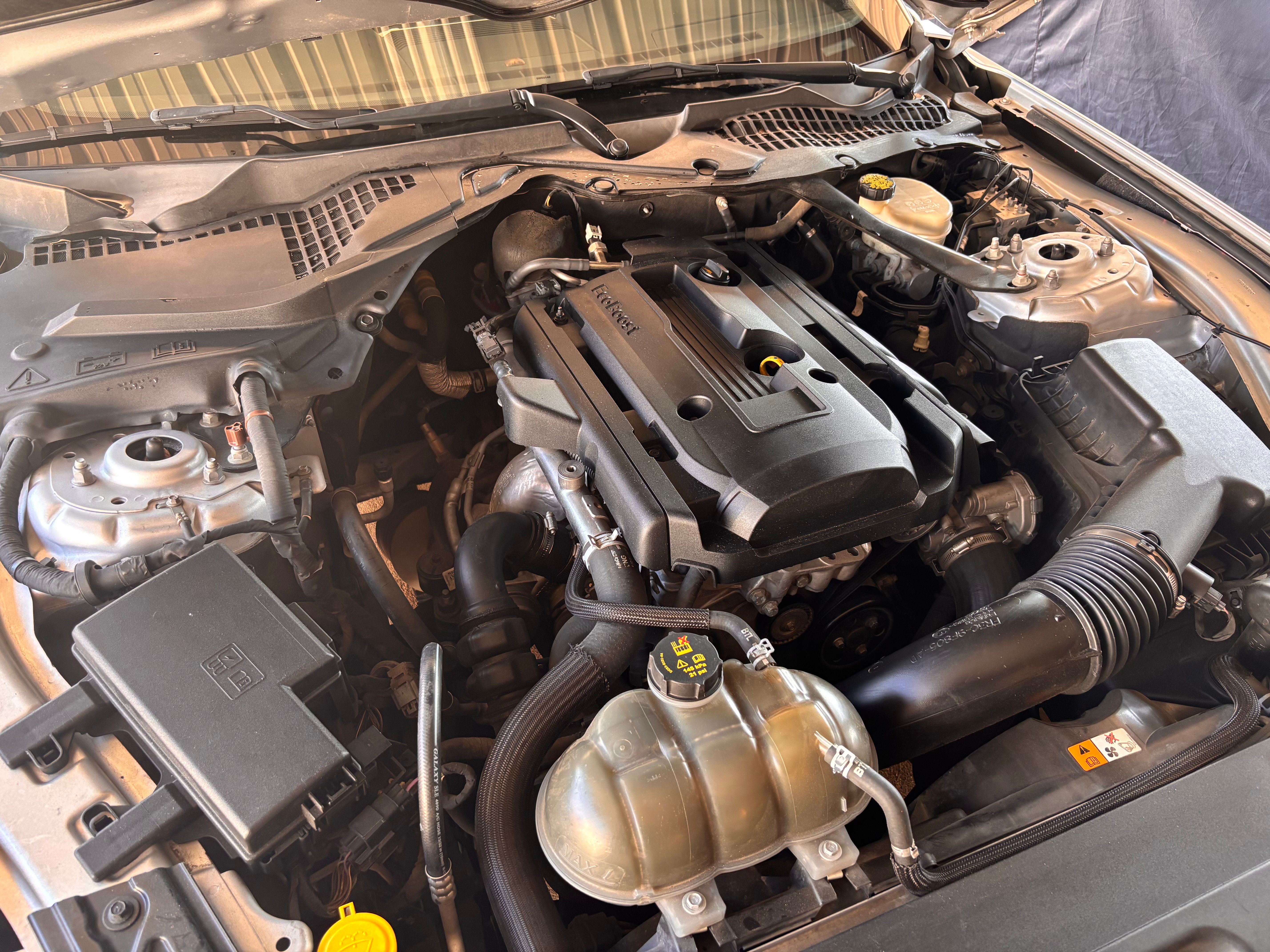 Used 2016 Ford Mustang Premium RWD image 12