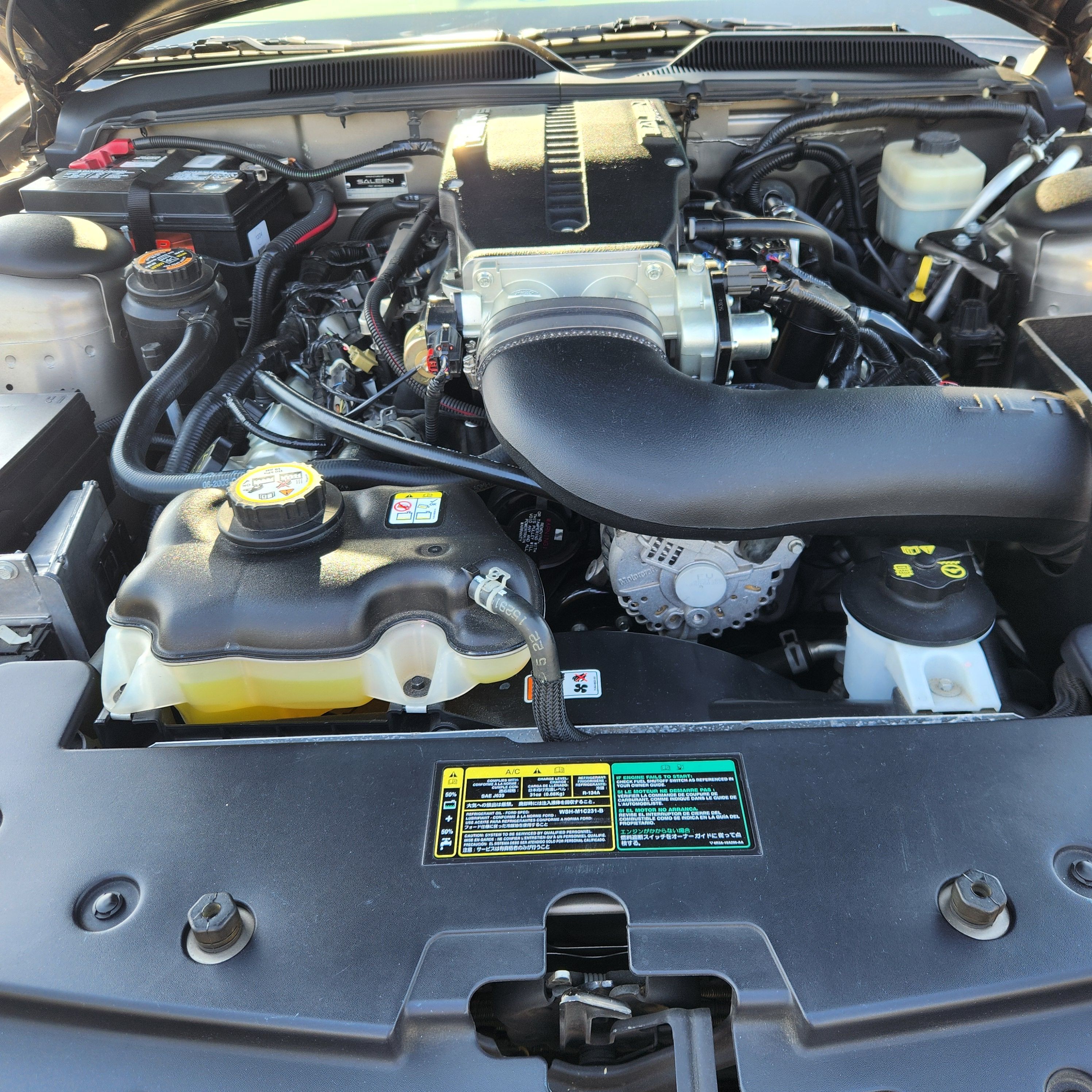 Used 2005 Ford Mustang GT Premium RWD image 14