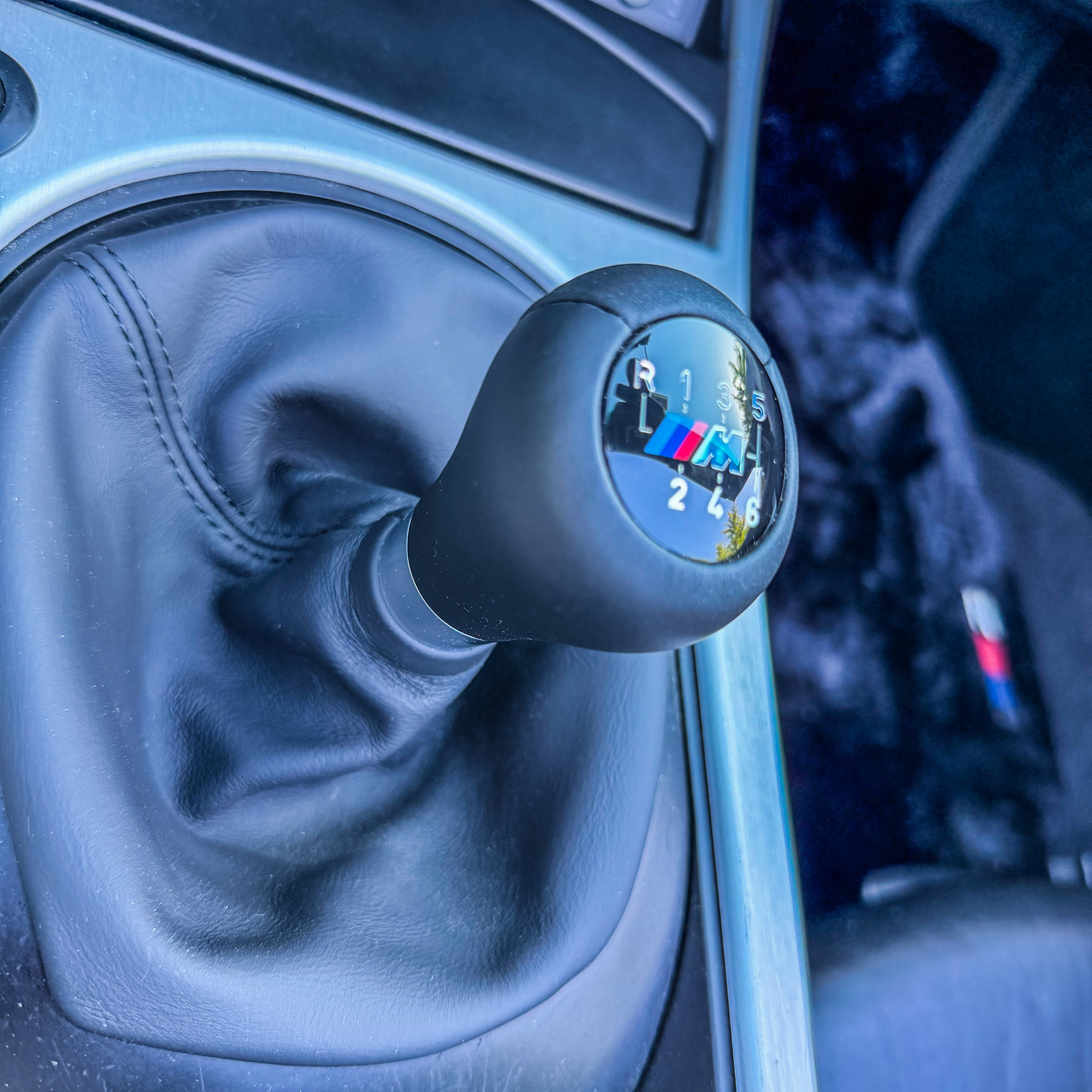 Used 2006 BMW M Roadster RWD image 10