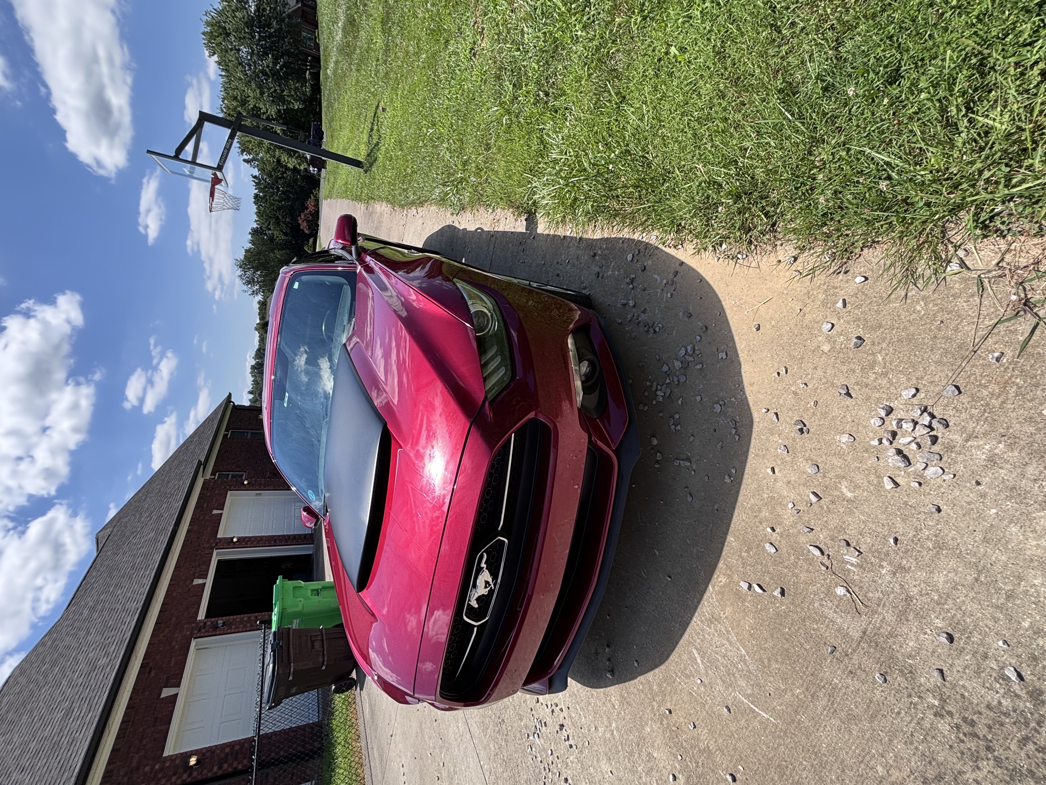 Used 2015 Ford Mustang Premium w/ Equipment Group 201A RWD image 12