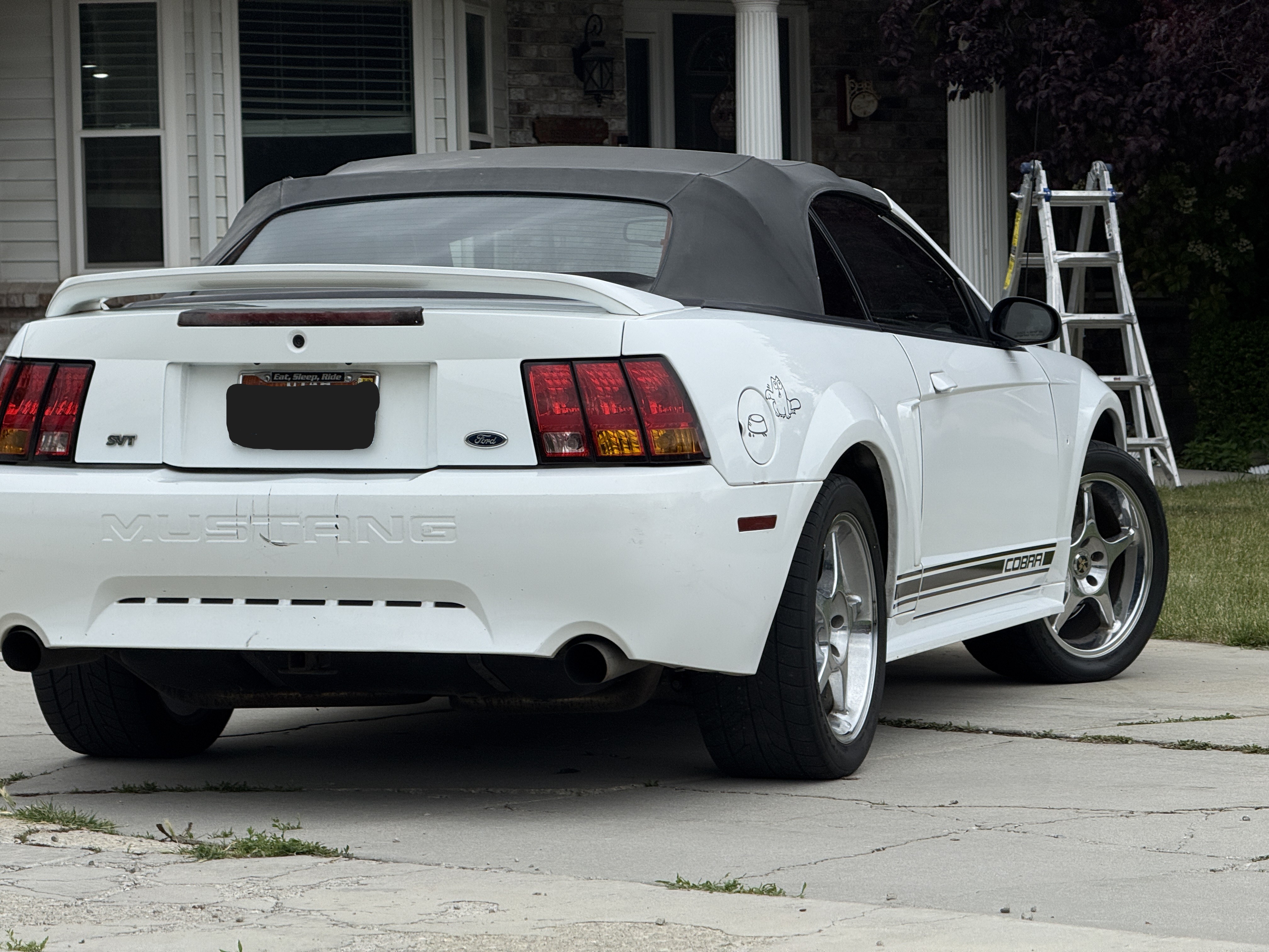 Used 1999 Ford Mustang Cobra RWD image 10