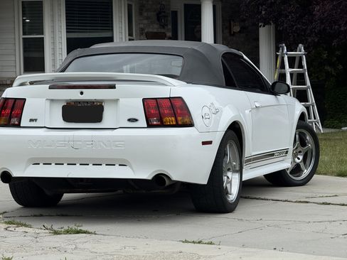 Used 1999 Ford Mustang Cobra RWD image 10