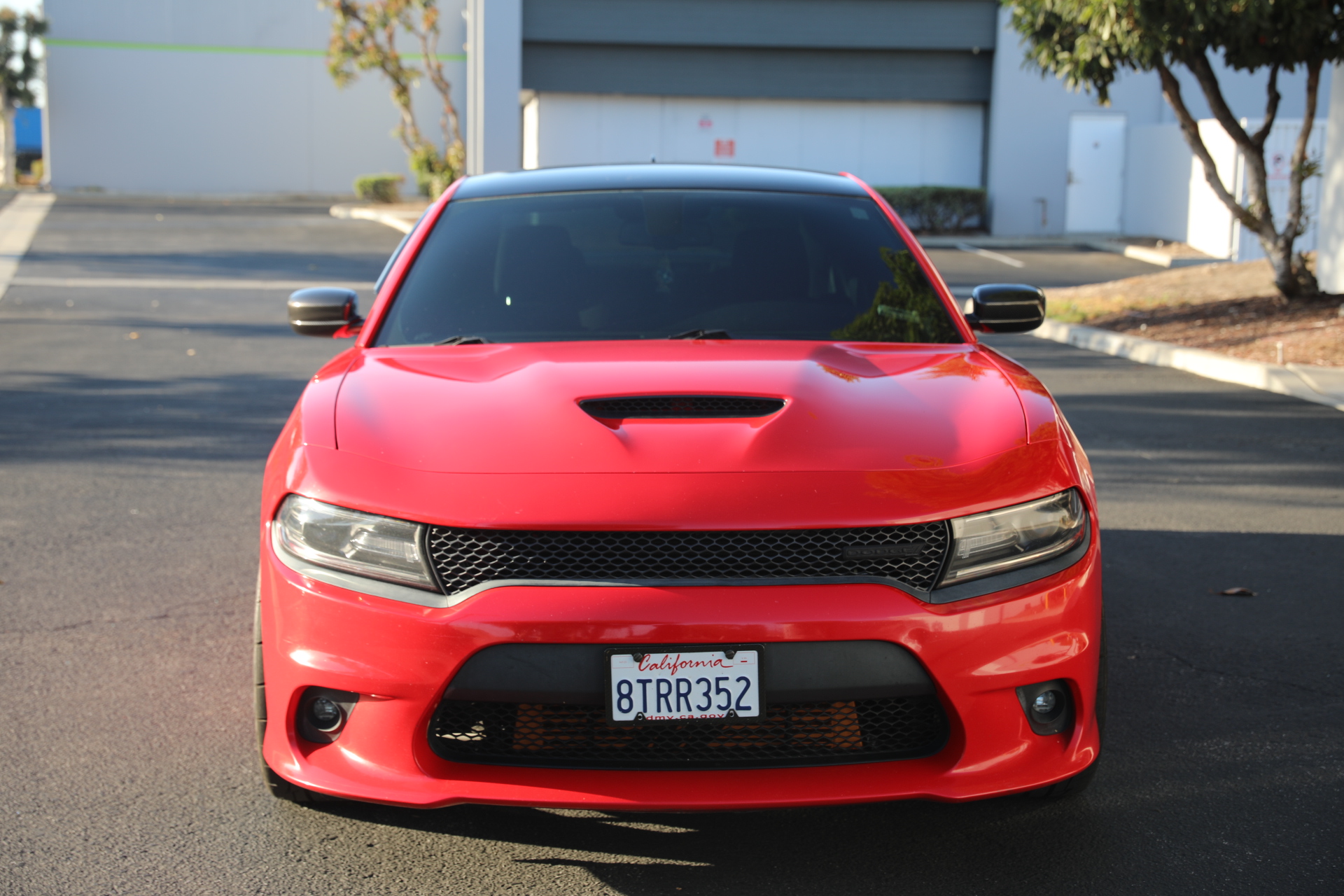 Used 2019 Dodge Charger R/T RWD image 6