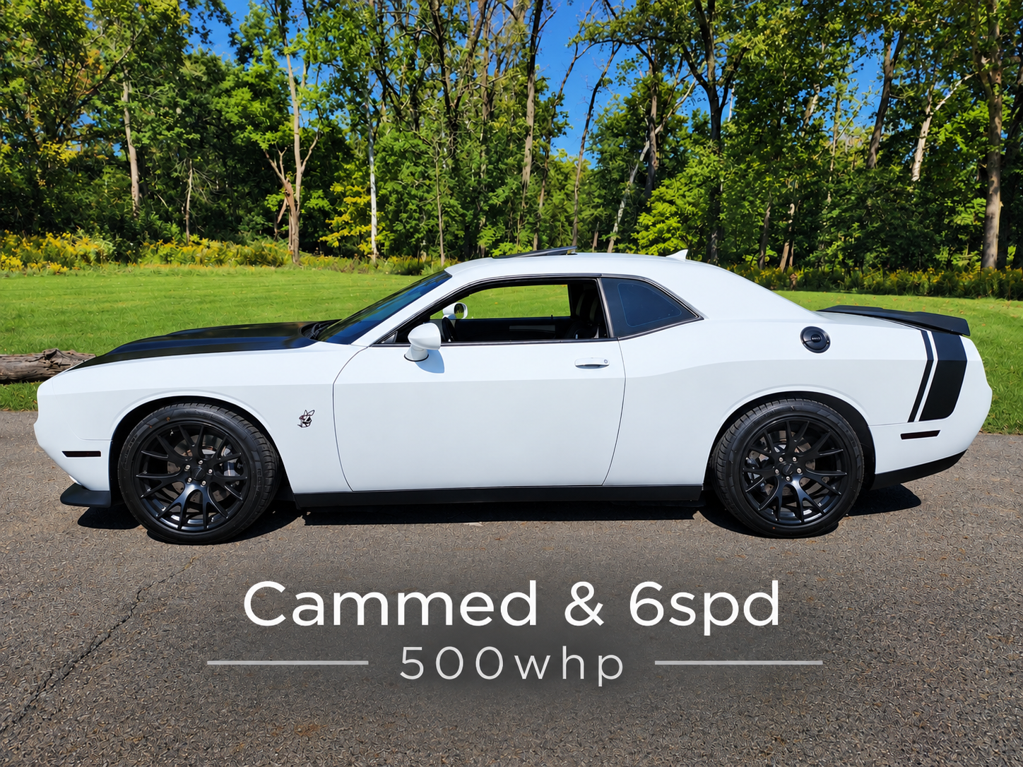 Used 2016 Dodge Challenger R/T Scat Pack w/ Leather Interior Group RWD image 1