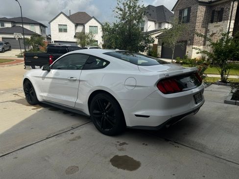 Used 2017 Ford Mustang Premium w/ Ecoboost Performance Package RWD image 4