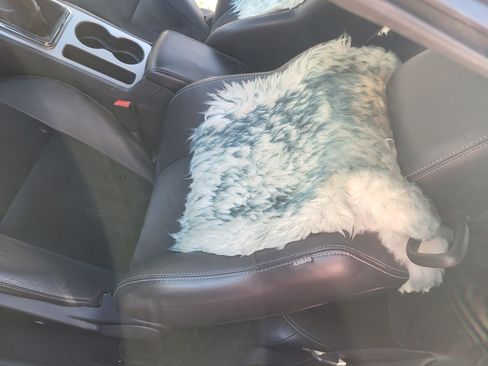 Used 2013 Dodge Challenger SRT8 w/ Harman Kardon Audio Group image 10