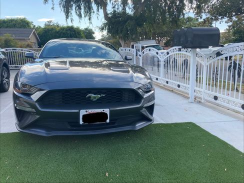 Used 2019 Ford Mustang Coupe RWD image 1