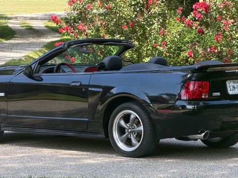 Used 2003 Ford Mustang GT Premium RWD image 1