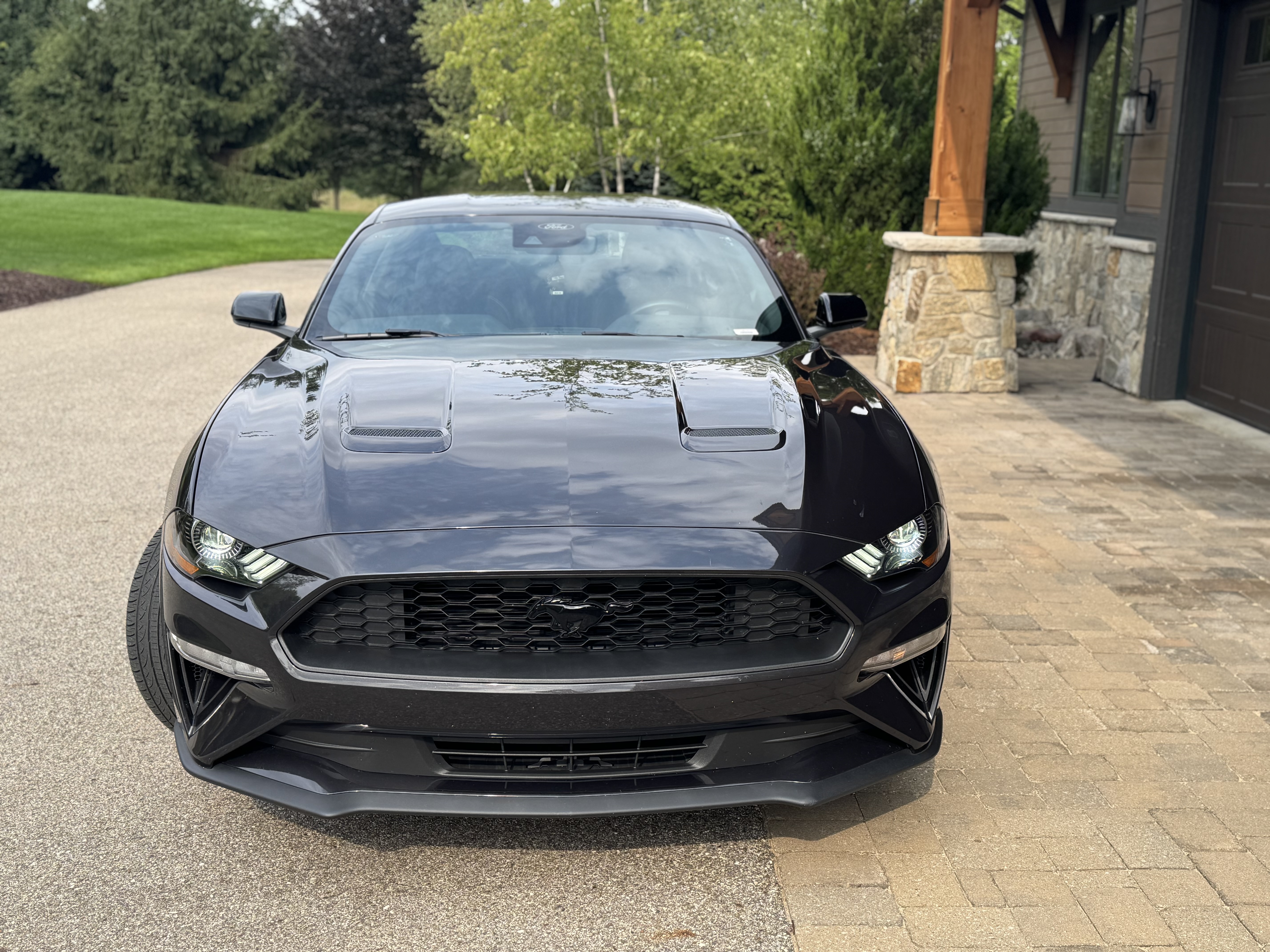 Used 2023 Ford Mustang Coupe w/ Equipment Group 101A RWD image 2