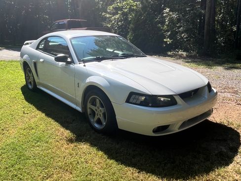 Used 2001 Ford Mustang Cobra RWD image 5