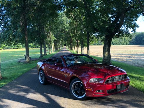 Used 2014 Ford Mustang Premium w/ Equipment Group 202A RWD image 5