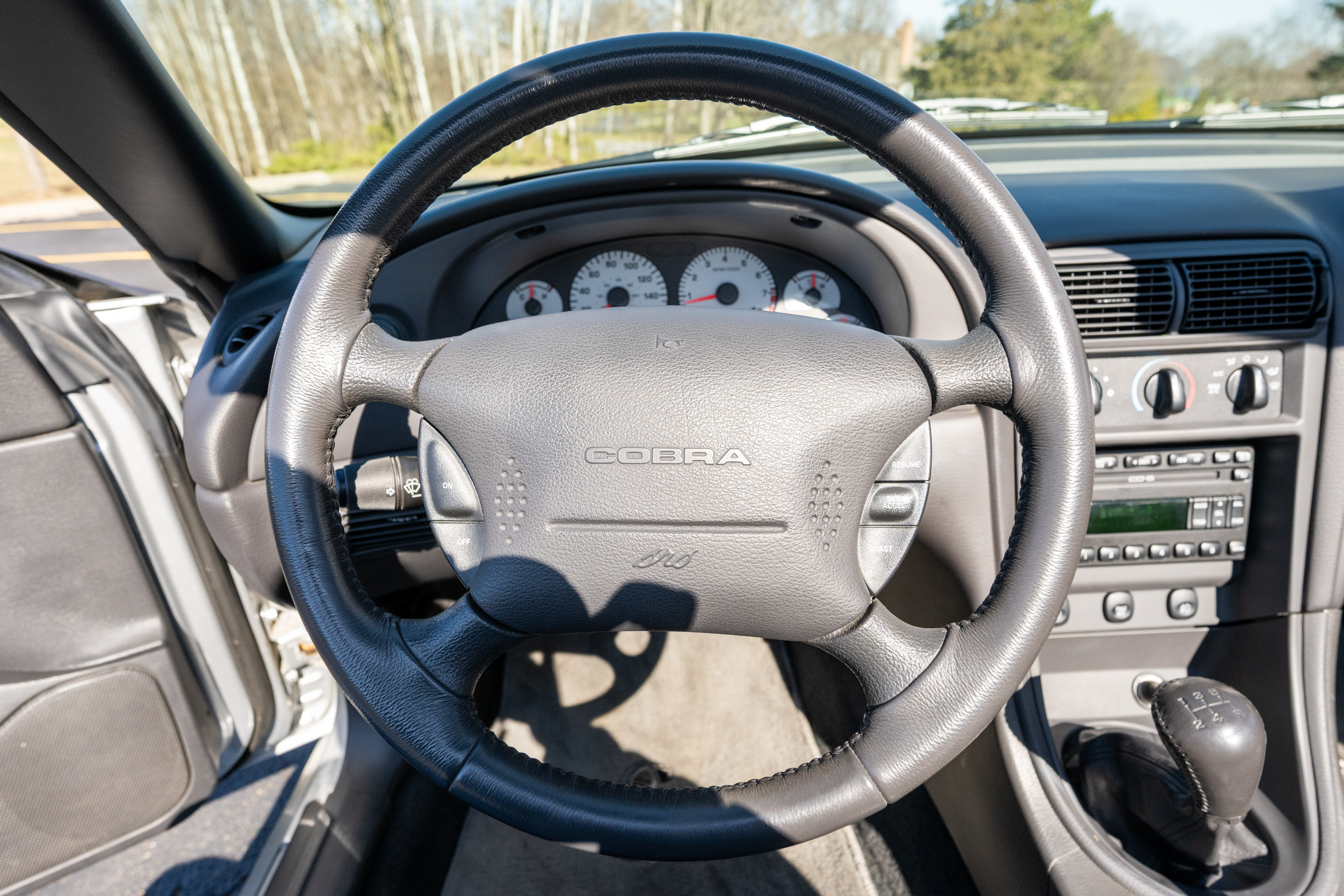 Used 2001 Ford Mustang Cobra RWD image 25