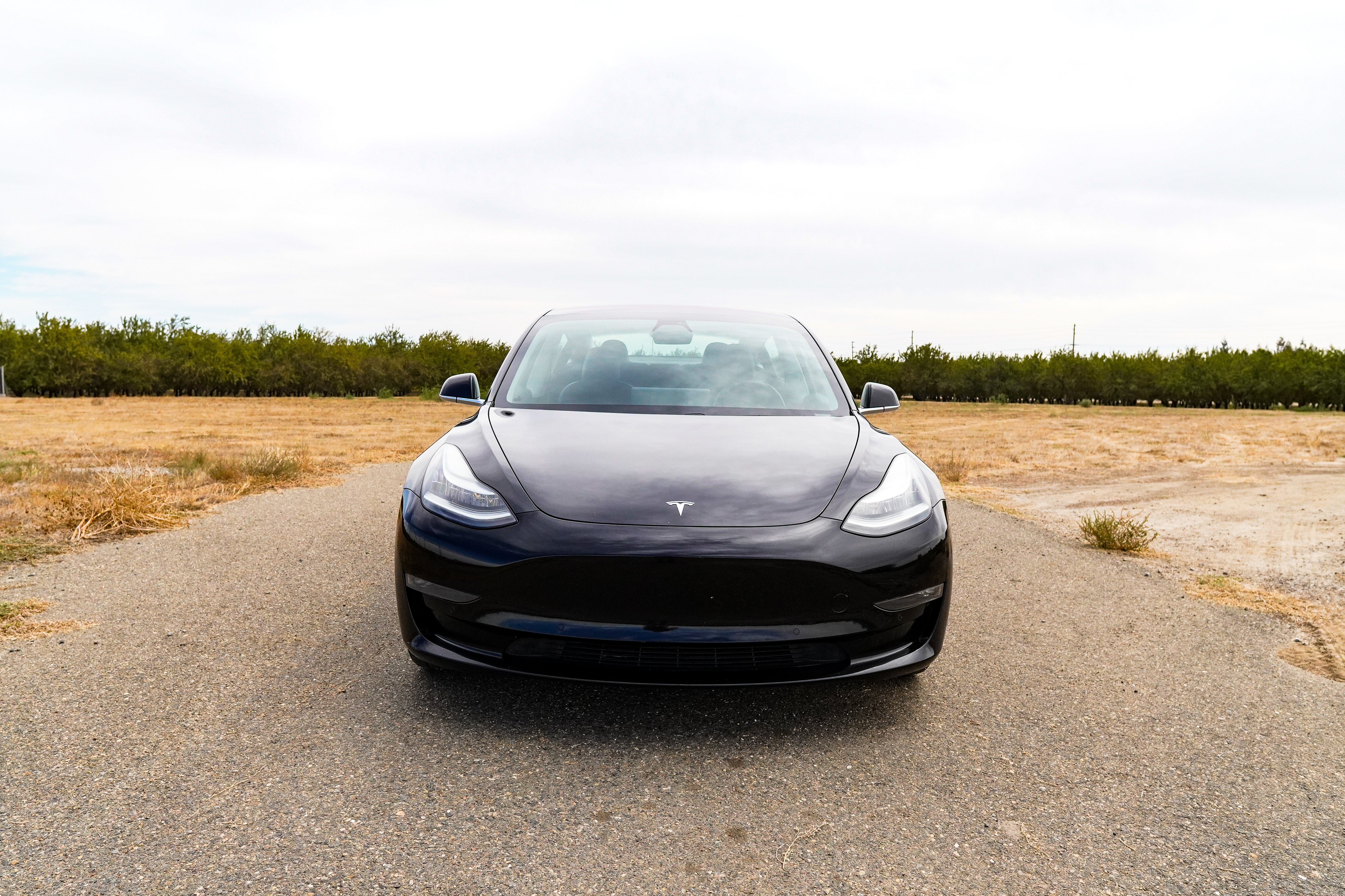 Used 2019 Tesla Model 3 Long Range RWD image 11