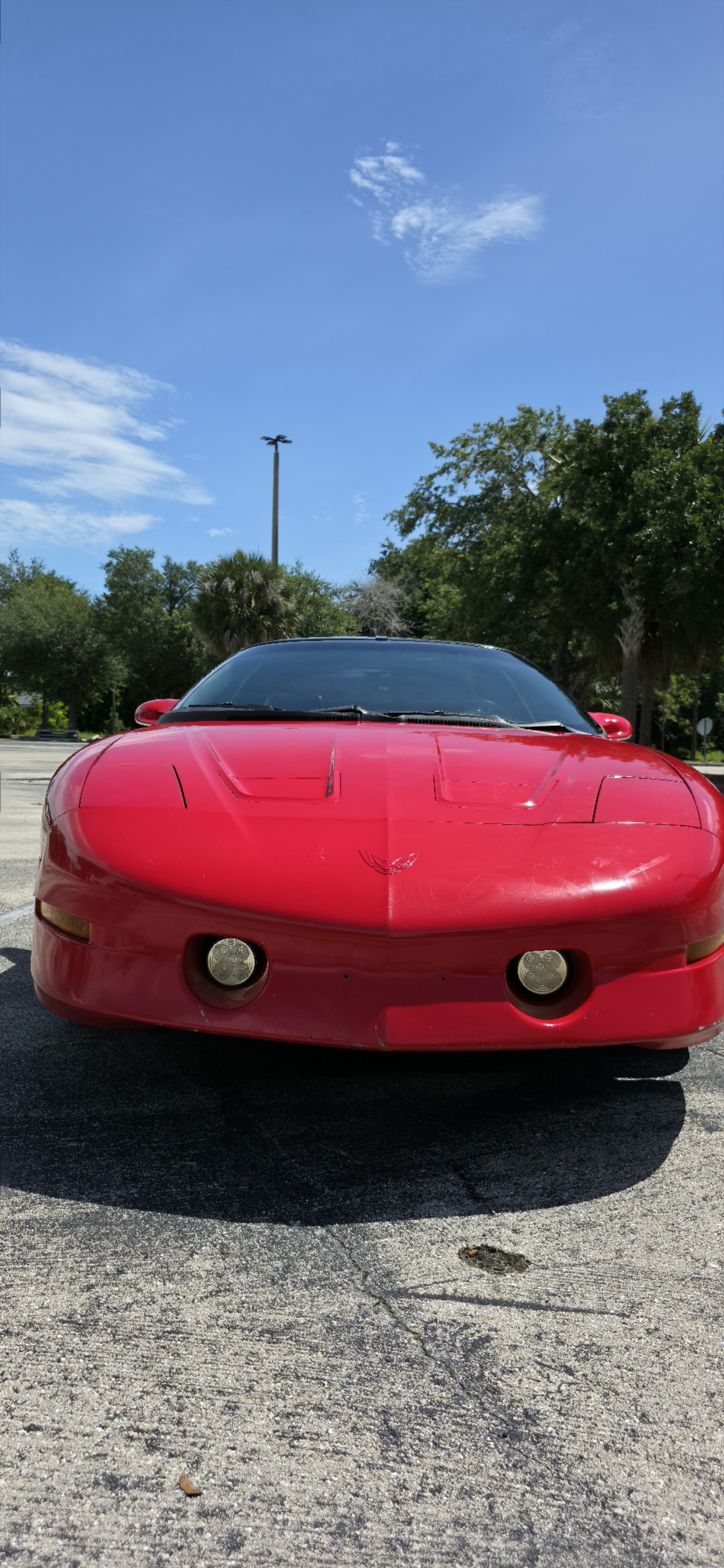 Used 1996 Pontiac Firebird Trans Am RWD image 8
