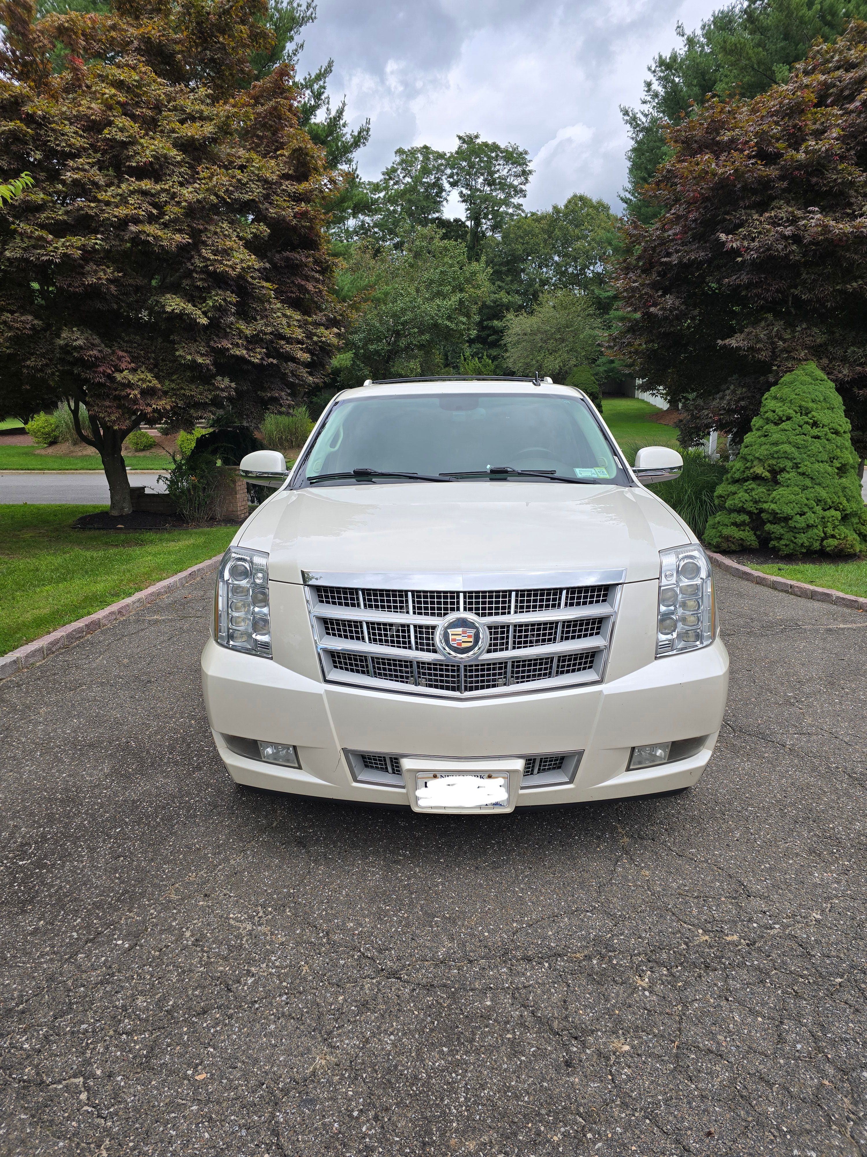 Used 2014 Cadillac Escalade Platinum AWD/4WD image 5