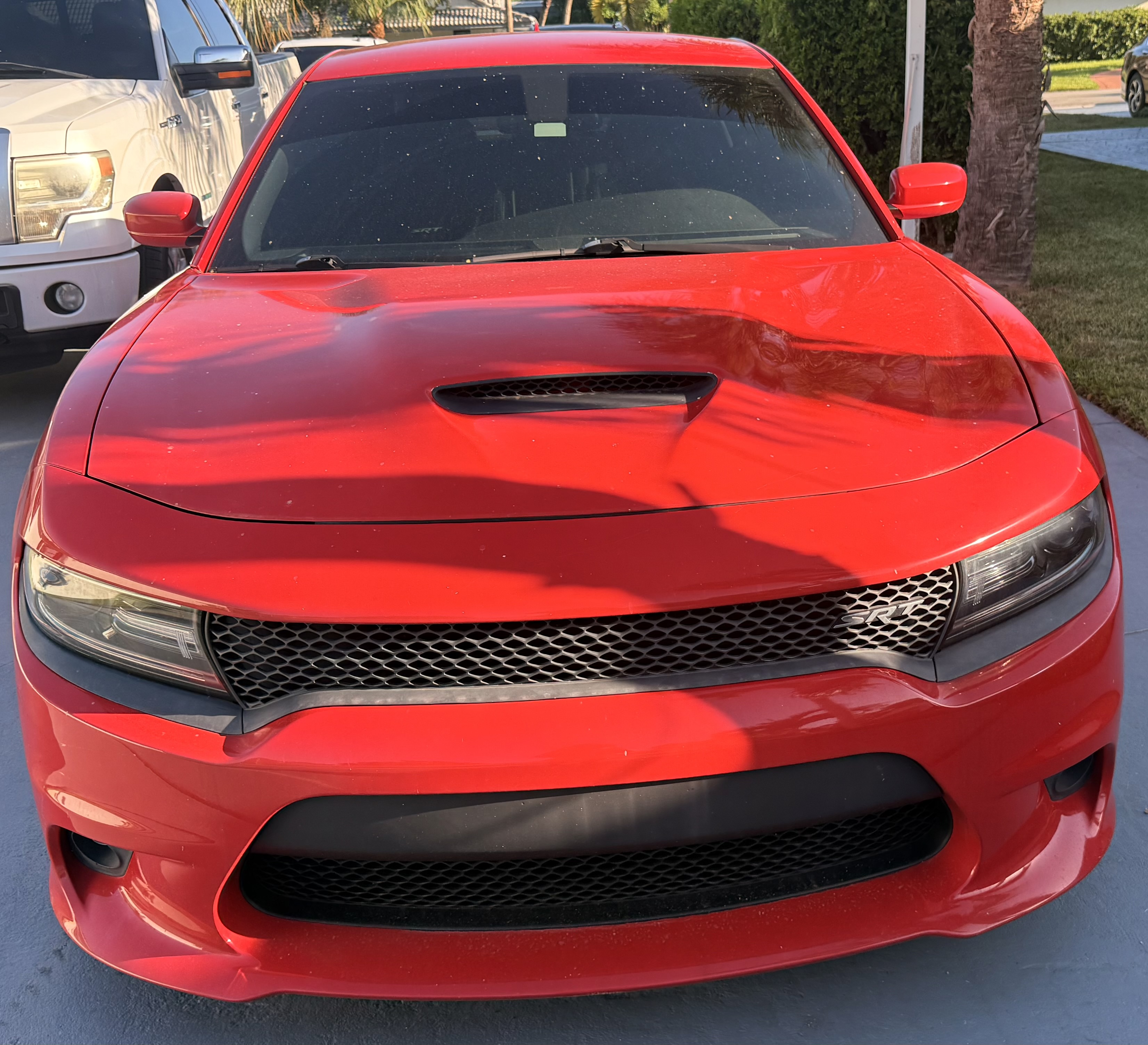 Used 2015 Dodge Charger SRT RWD image 5