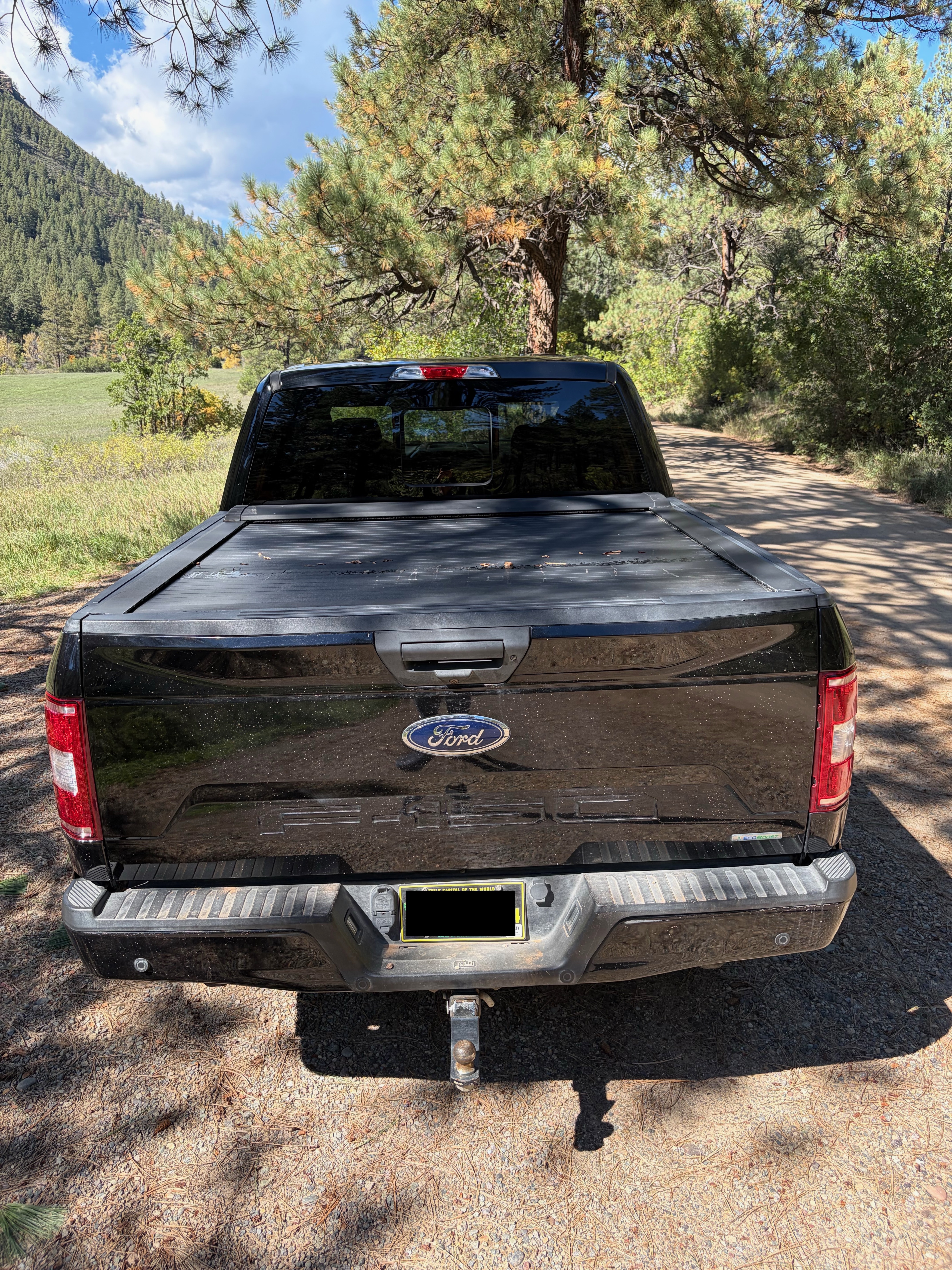 Used 2019 Ford F150 XLT w/ Equipment Group 302A Luxury AWD/4WD image 16