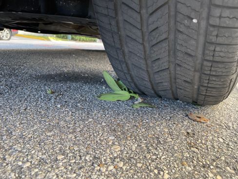 Used 2015 BMW 328i Sedan image 14