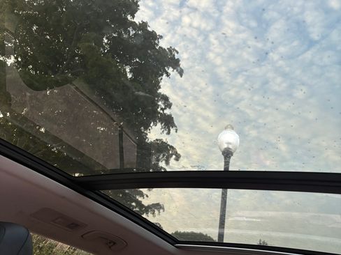 Used 2018 Volkswagen Tiguan SE w/ Panoramic Sunroof Package FWD image 9