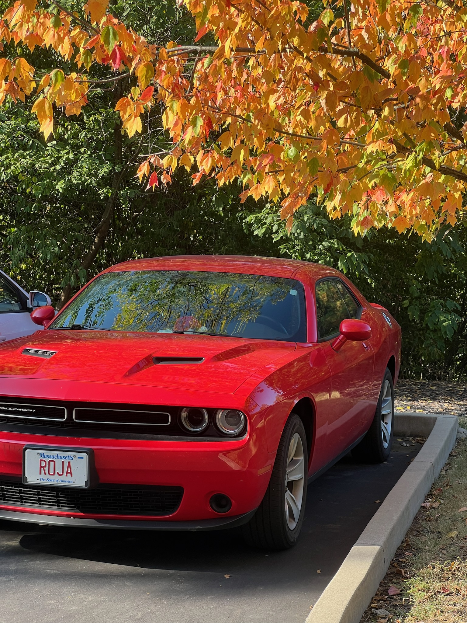 Used 2022 Dodge Challenger SXT RWD image 13