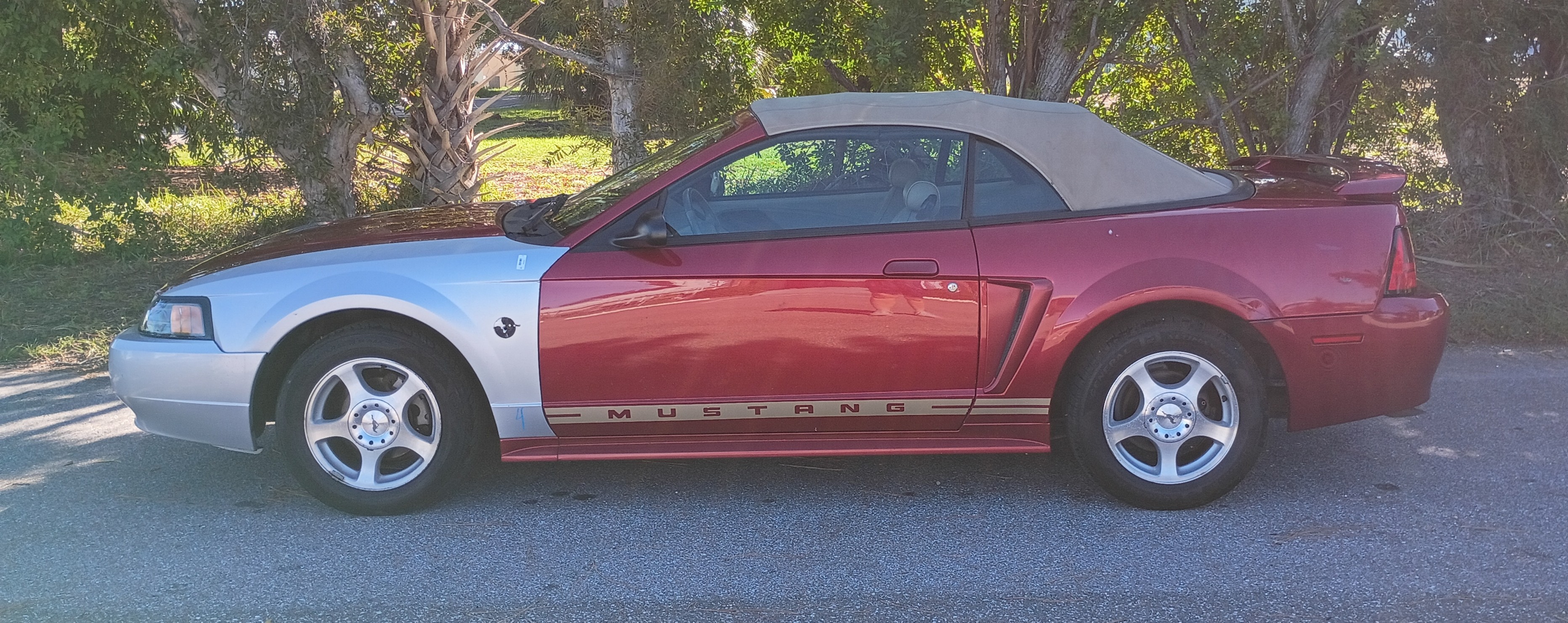 Used 2004 Ford Mustang Convertible RWD image 2