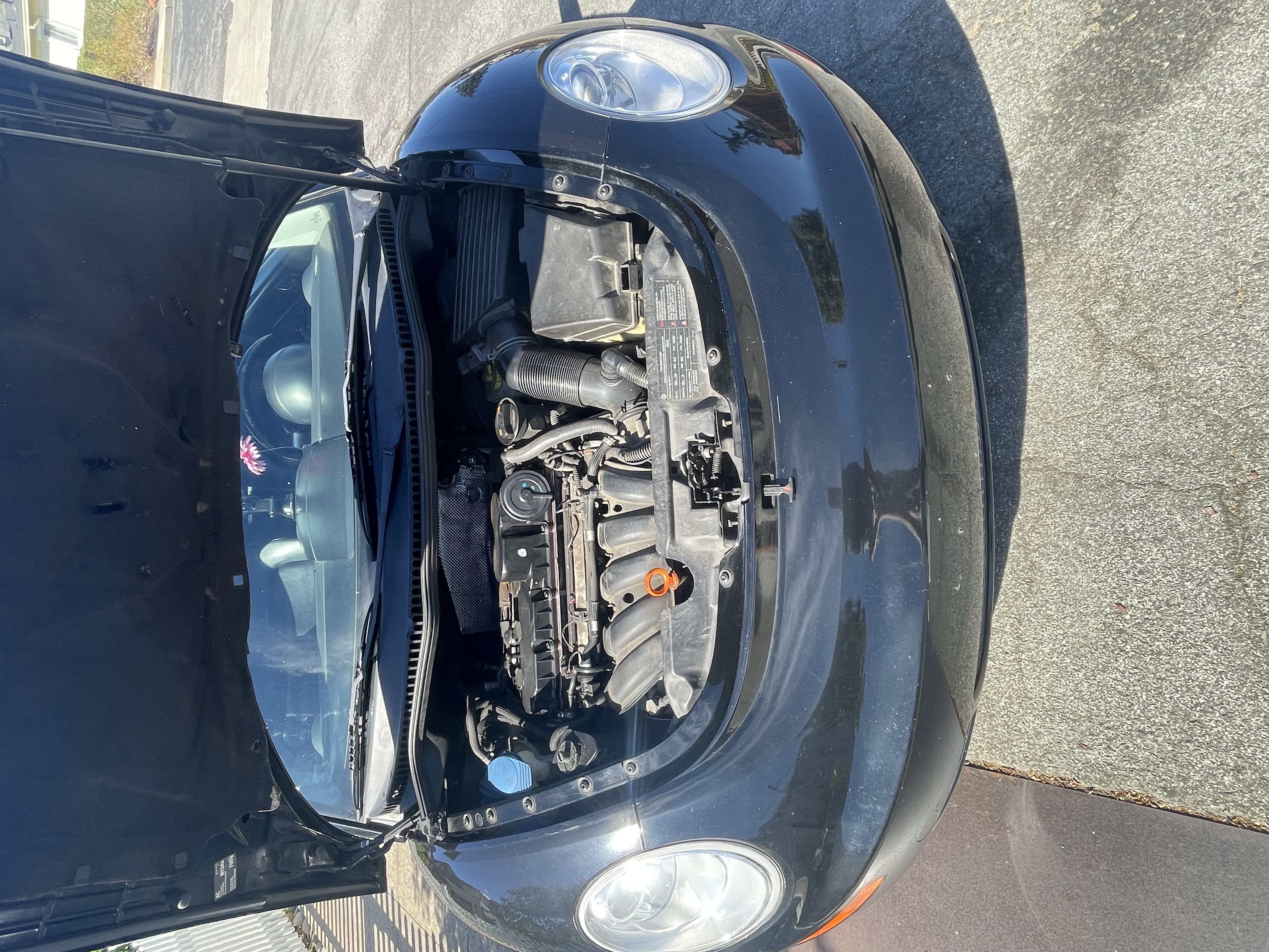 Used 2009 Volkswagen Beetle S FWD image 11