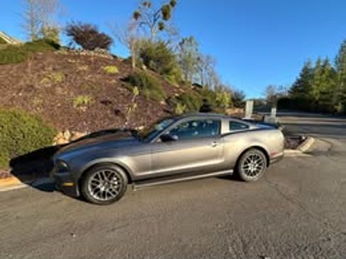 Used 2014 Ford Mustang Premium w/ Equipment Group 203A image 13