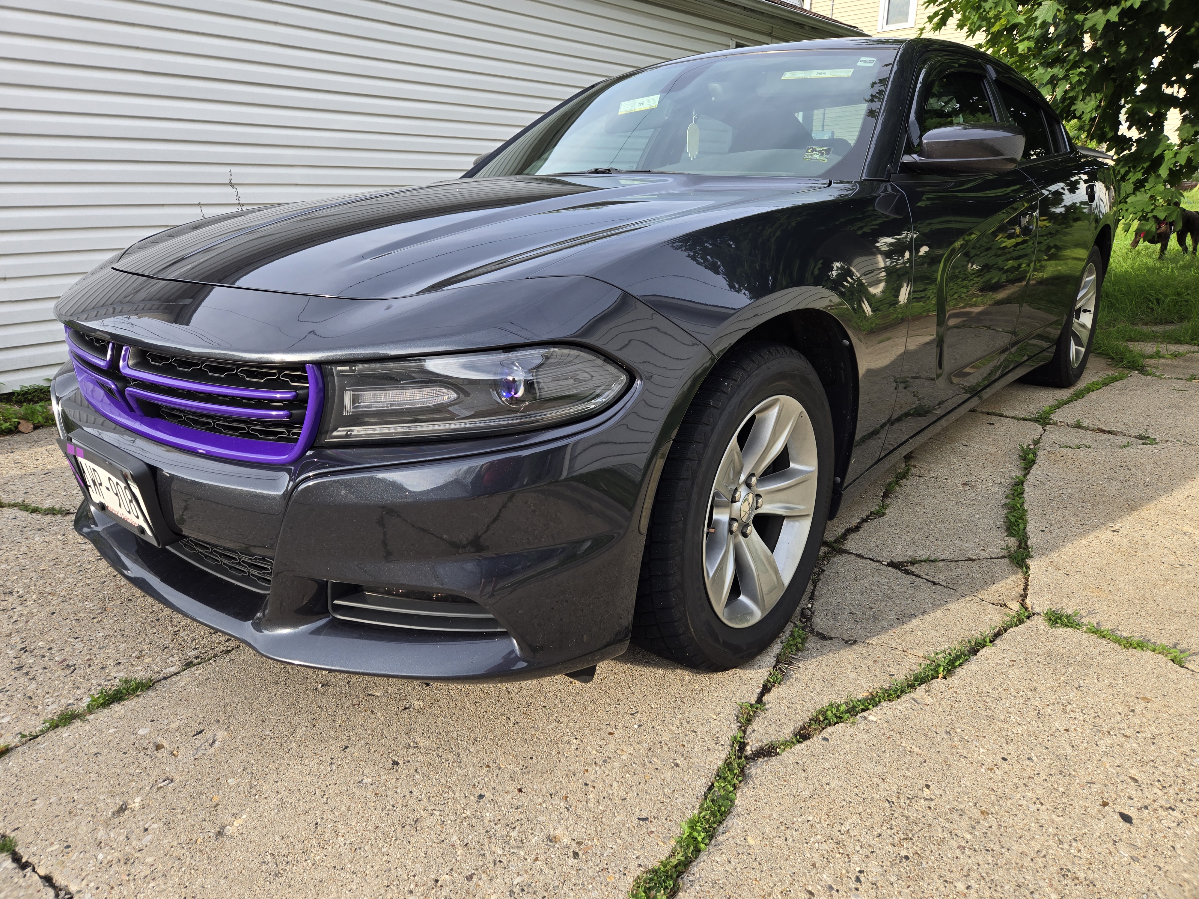 Used 2016 Dodge Charger SXT w/ Driver Confidence Group RWD image 2