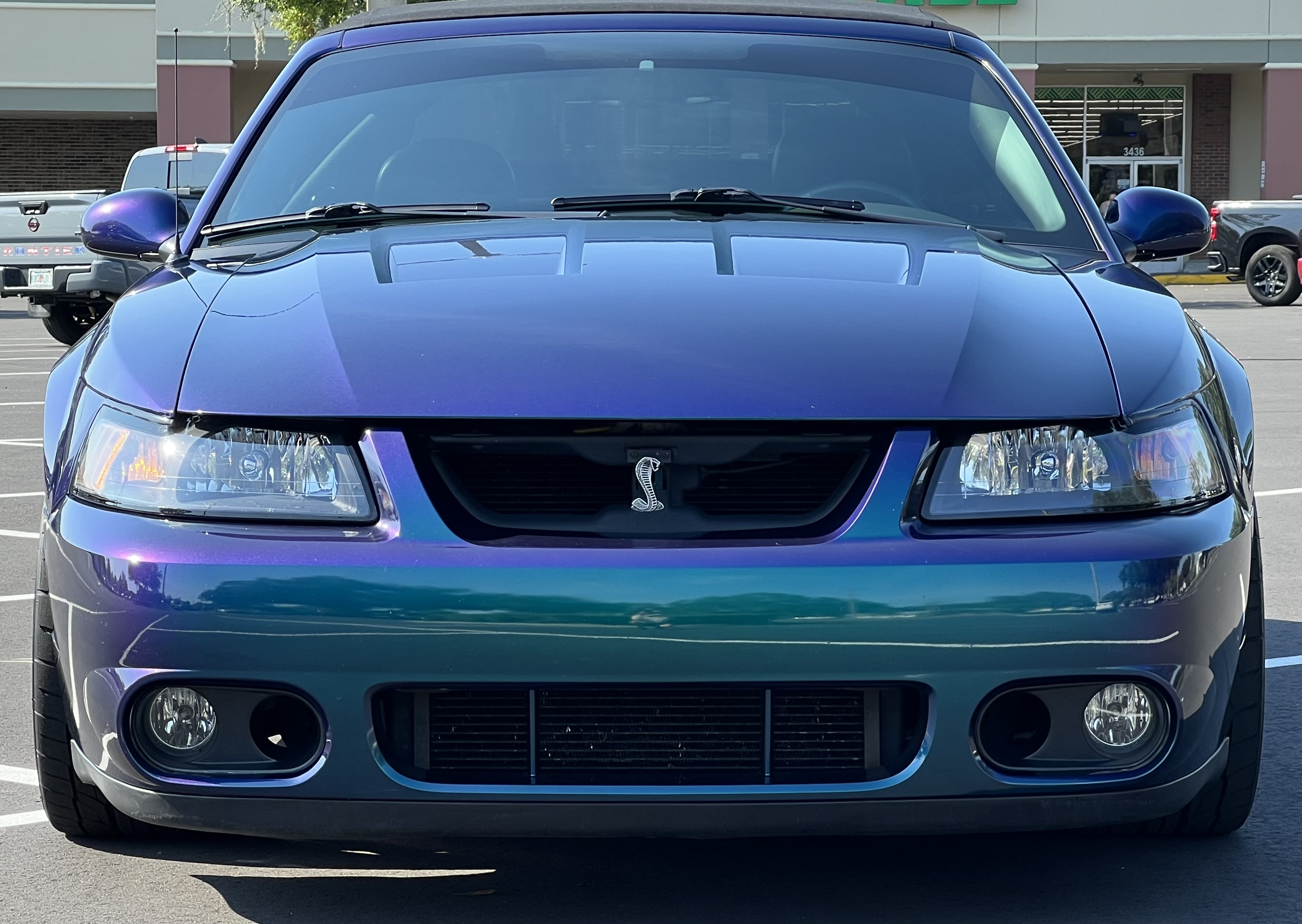 Used 2004 Ford Mustang Cobra RWD image 4