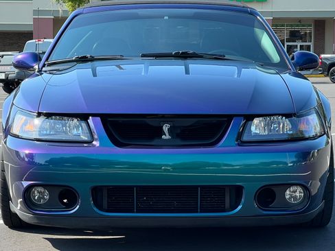 Used 2004 Ford Mustang Cobra RWD image 4