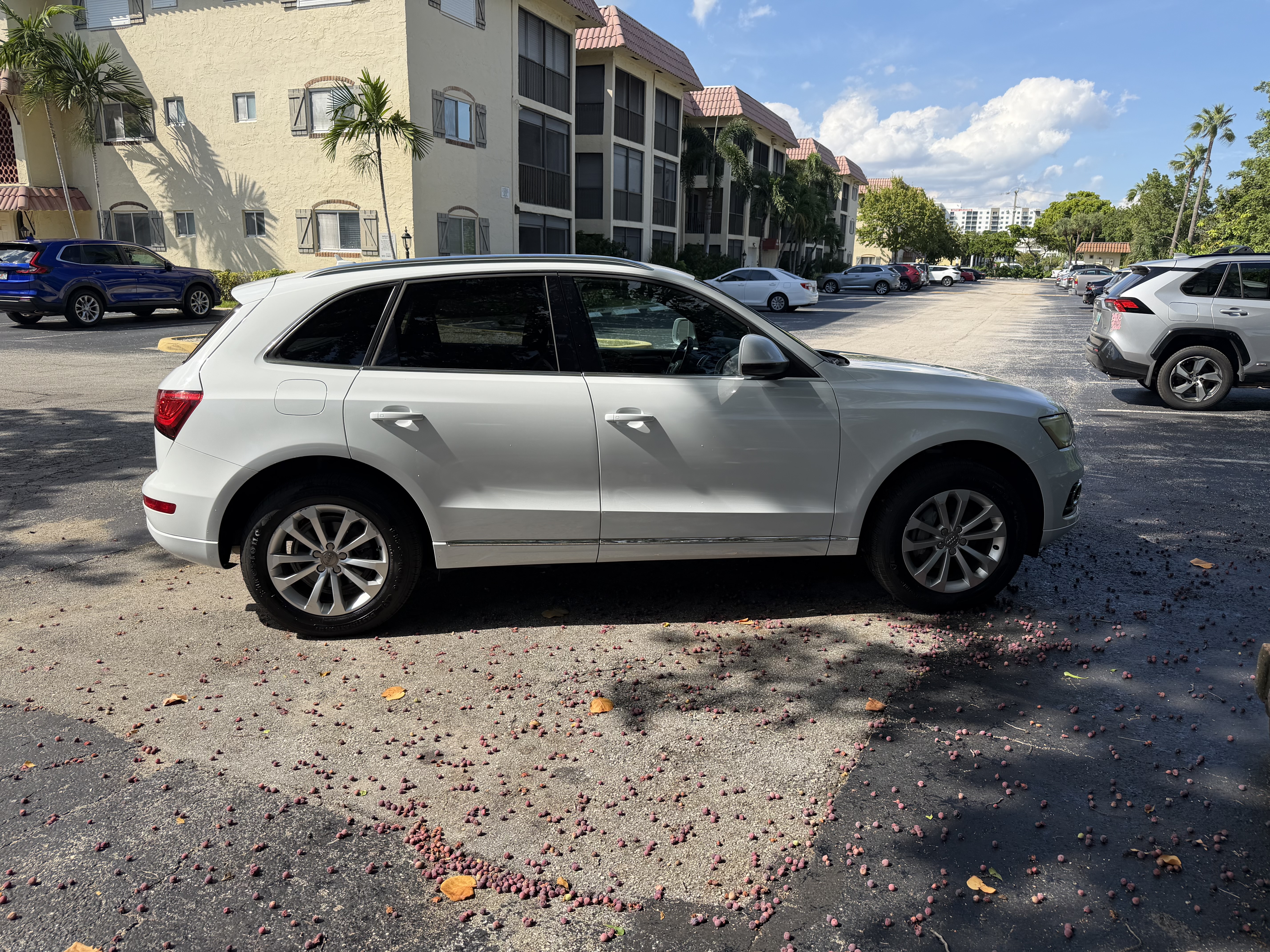 Used 2014 Audi Q5 2.0T Premium w/ Lighting Package AWD/4WD image 5
