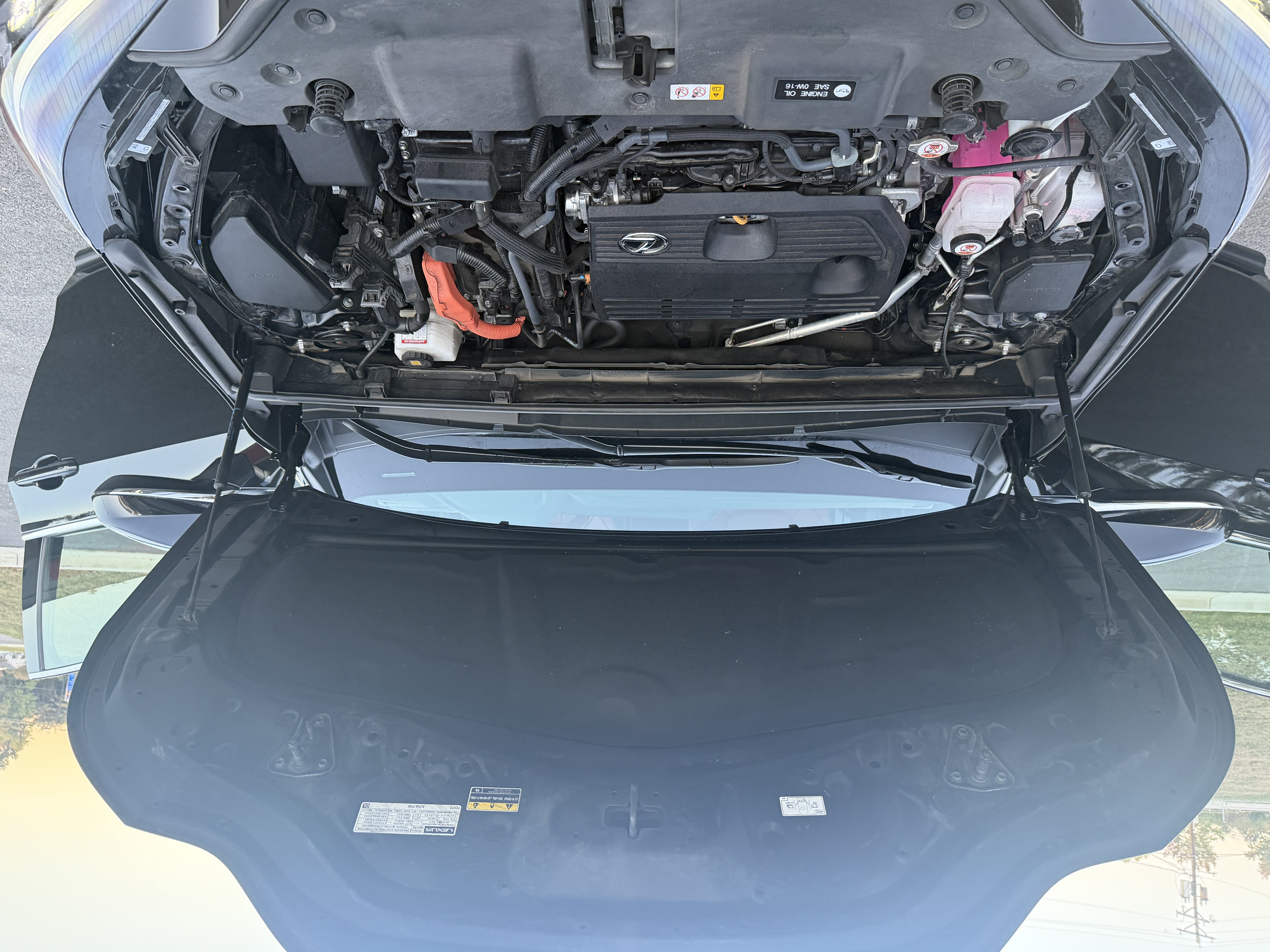 Used 2025 Lexus NX 350h AWD w/ Cold Area Package image 16