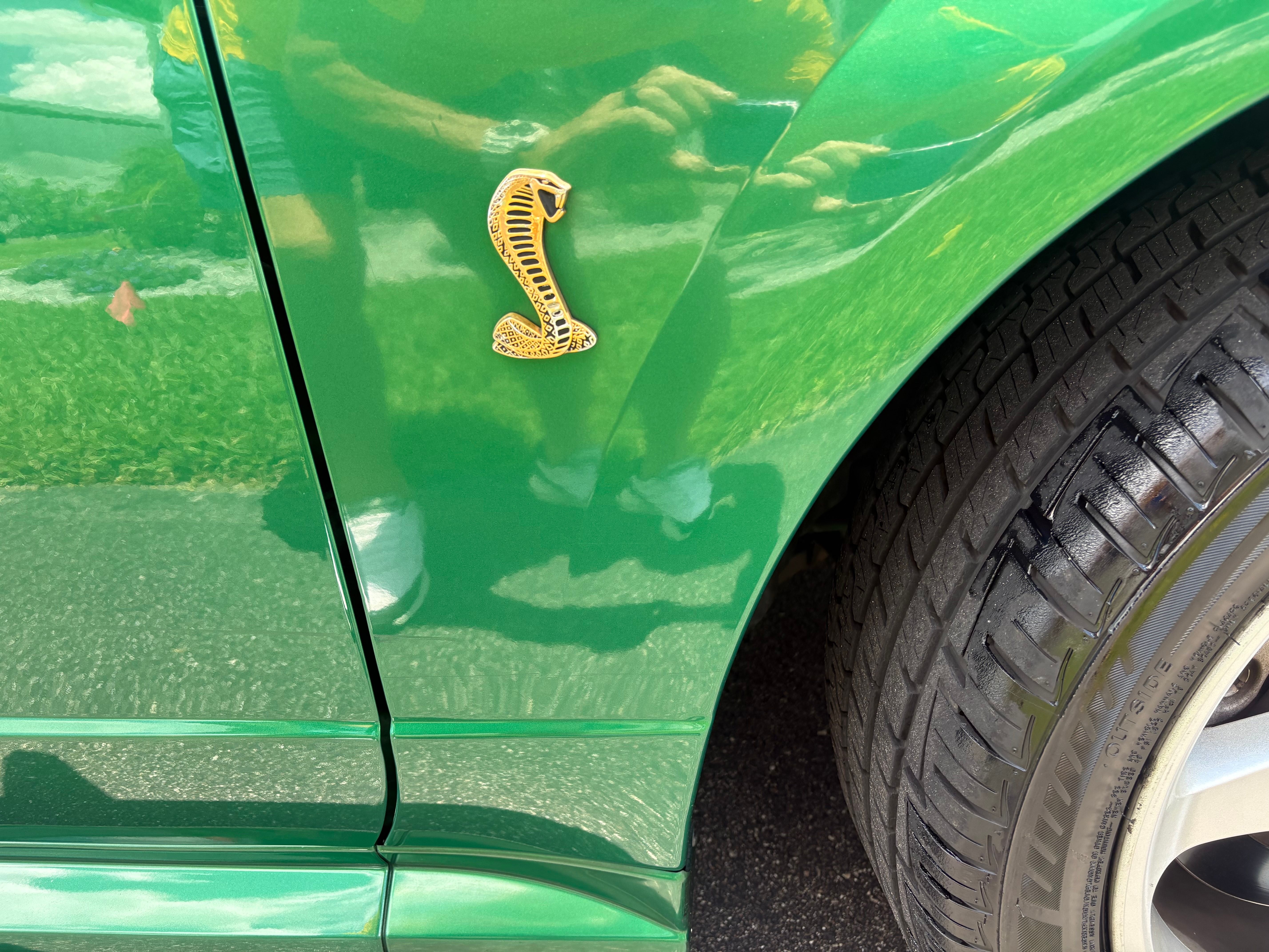 Used 1999 Ford Mustang Cobra RWD image 9