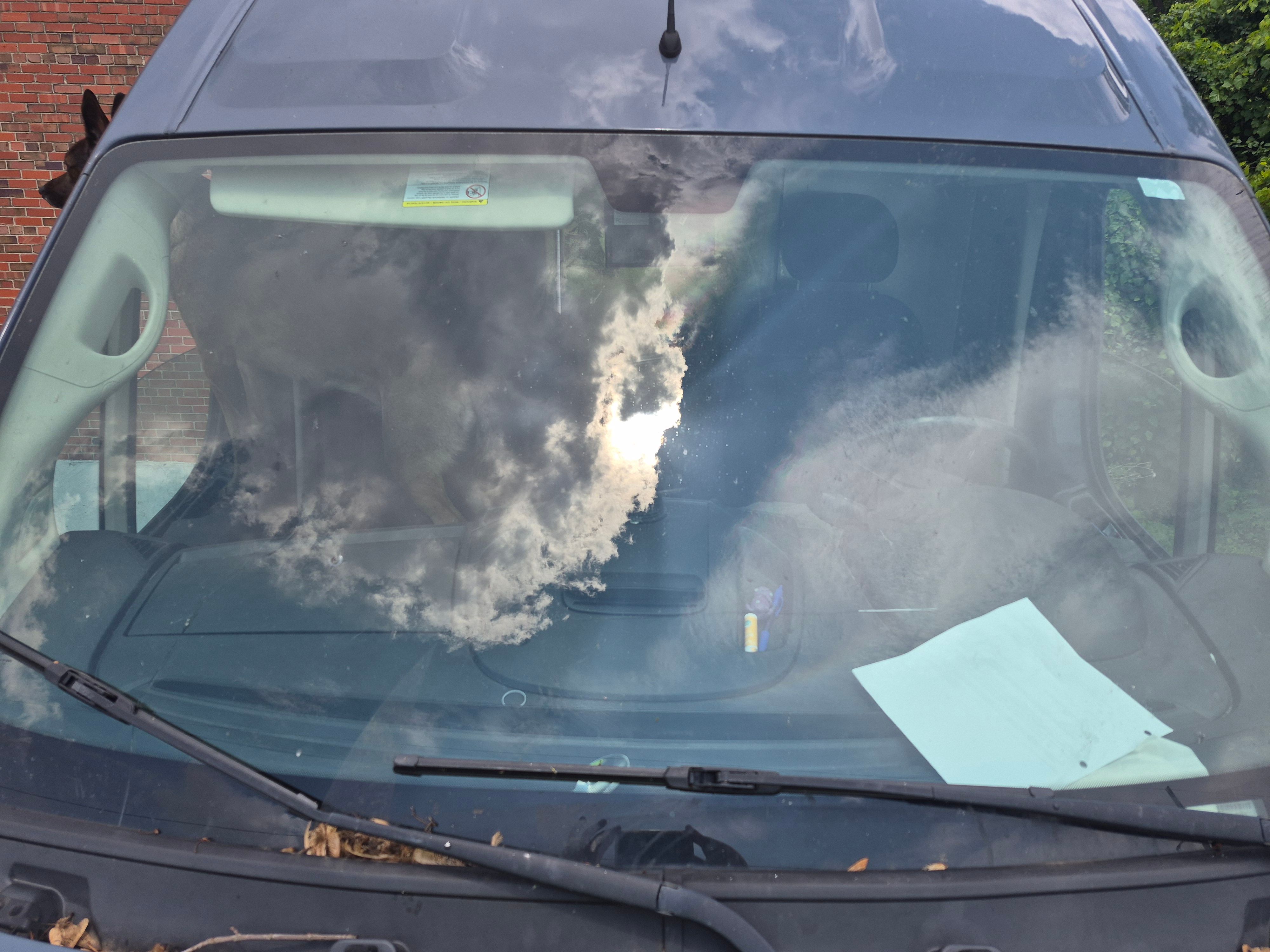 Used 2019 RAM ProMaster 3500 FWD image 9