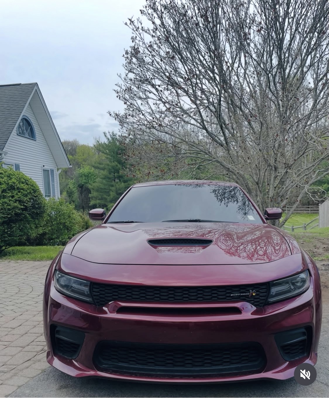 Used 2021 Dodge Charger Scat Pack RWD image 1