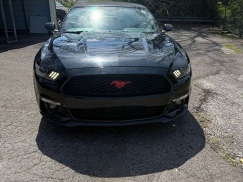 Used 2017 Ford Mustang Premium image 2