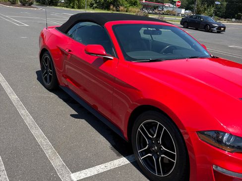 Used 2018 Ford Mustang Premium w/ Equipment Group 201A RWD image 15