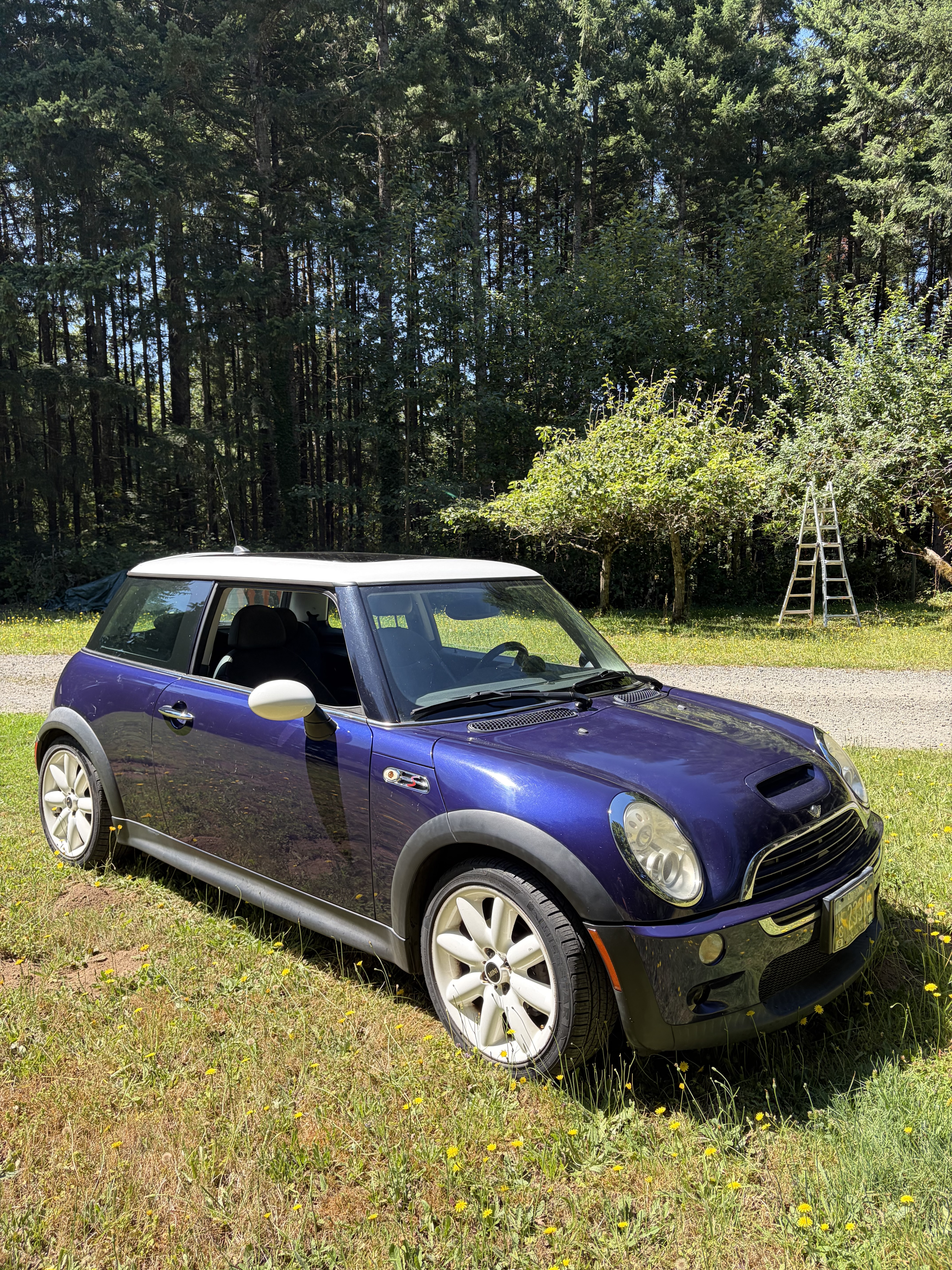 Used 2005 MINI Cooper S FWD image 14