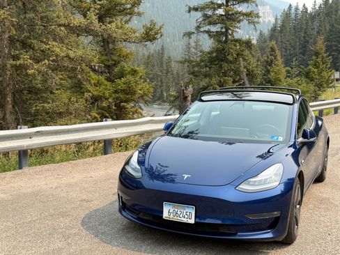 Used 2019 Tesla Model 3 Long Range AWD/4WD image 5