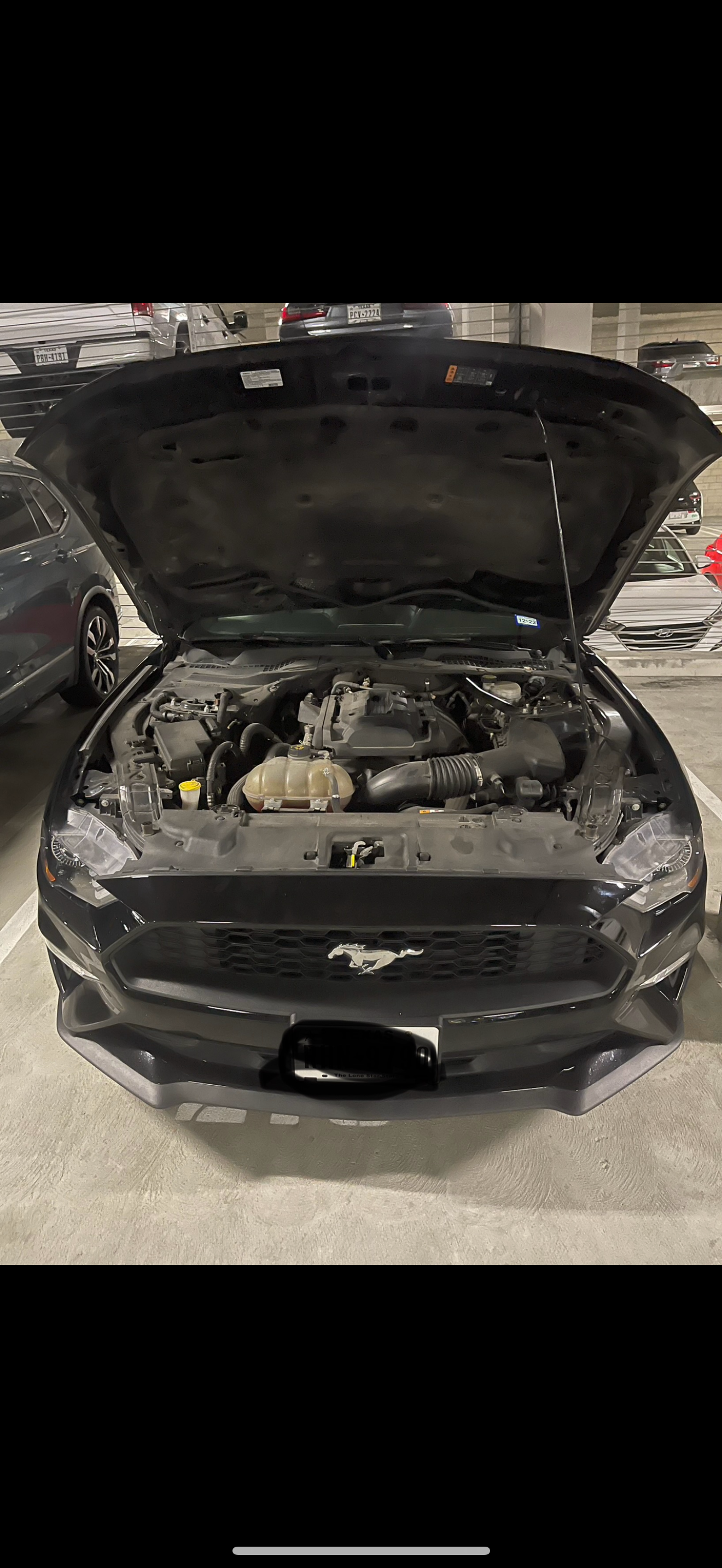 Used 2018 Ford Mustang Premium RWD image 8