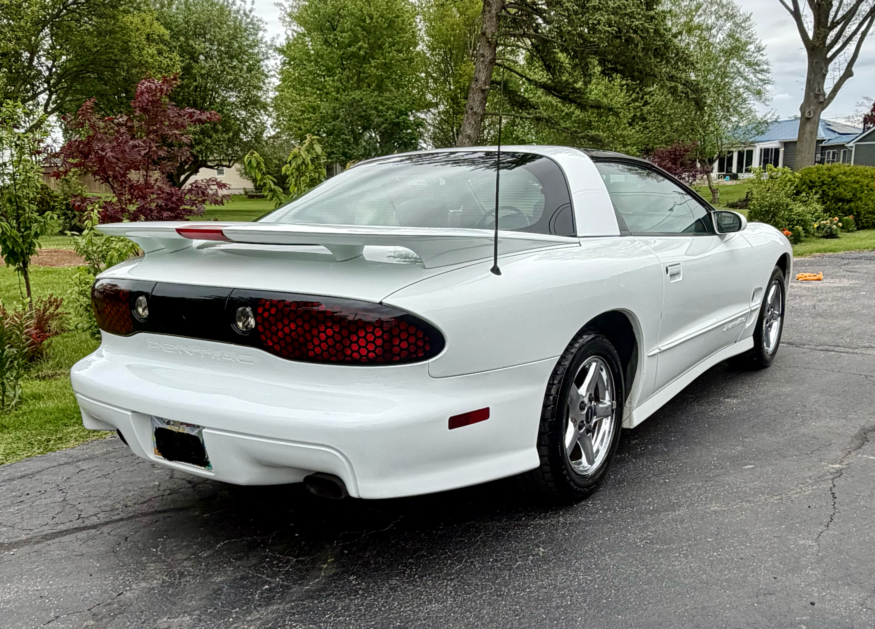 Used 2000 Pontiac Firebird Formula w/ Security Pkg RWD image 2