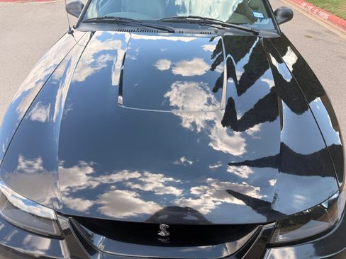Used 1999 Ford Mustang Cobra RWD image 6