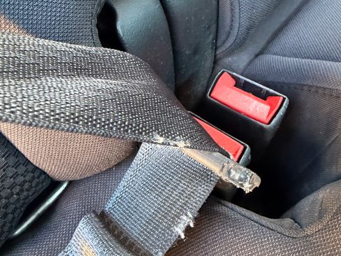 Used 2018 Chevrolet Silverado 1500 LT w/ Texas Edition image 12