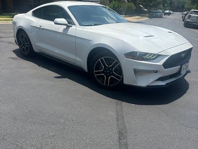 Used 2019 Ford Mustang Premium w/ Equipment Group 201A