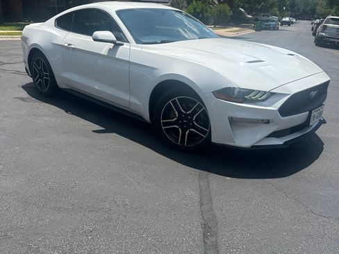 Used 2019 Ford Mustang Premium w/ Equipment Group 201A RWD image 1