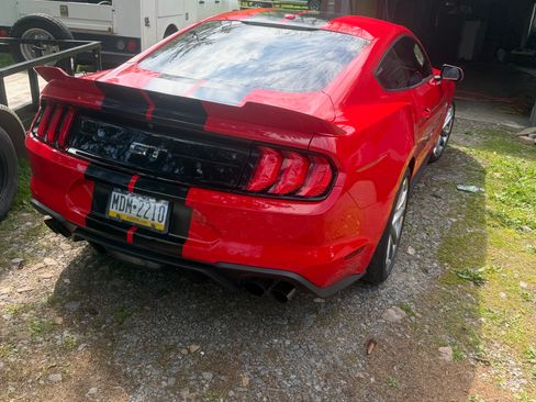 Used 2019 Ford Mustang GT Premium w/ Equipment Group 401A RWD image 6